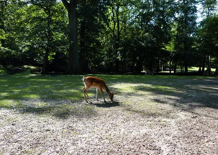 Helnan Marselis 4* Århus